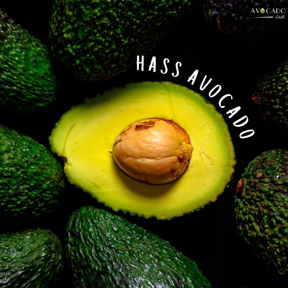 A Grade Hass Imported Avocado