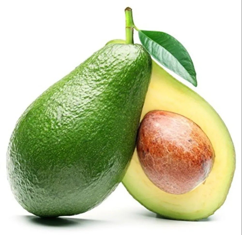 Exotic Vegetable A Grade Fresh Green Avocado