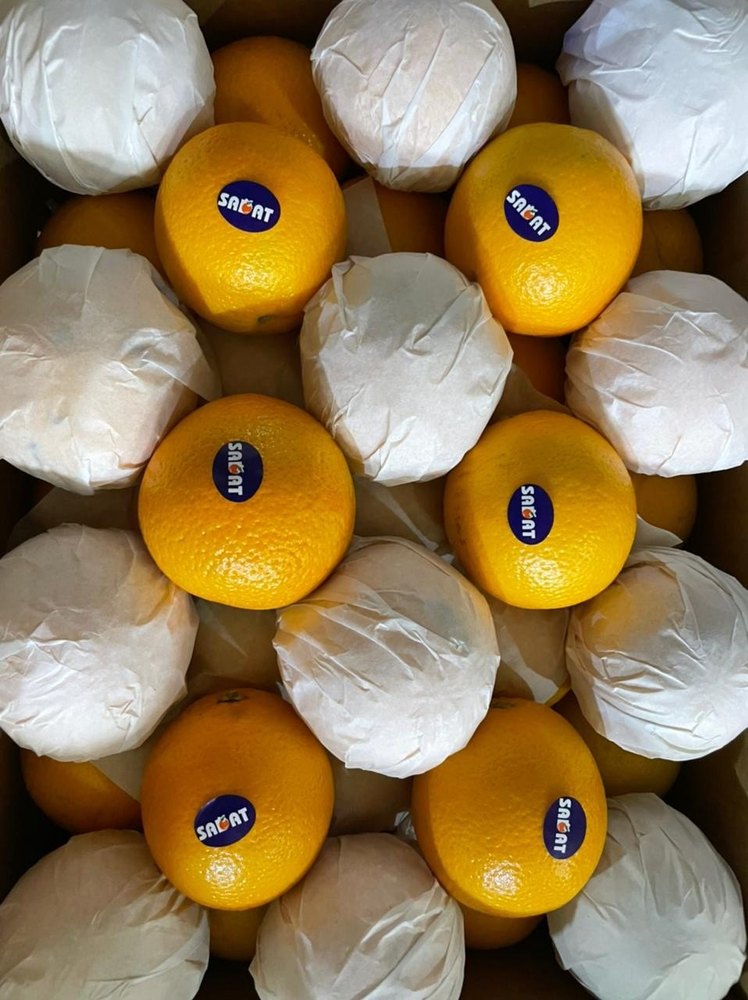 A Grade Egypt Malta Orange, Packaging Size: 20 Kg, Packaging Type: Carton
