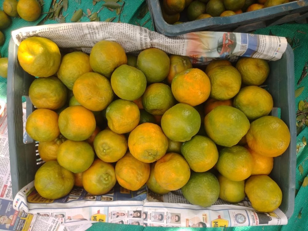 A Grade Orange, Packaging Type: Carton