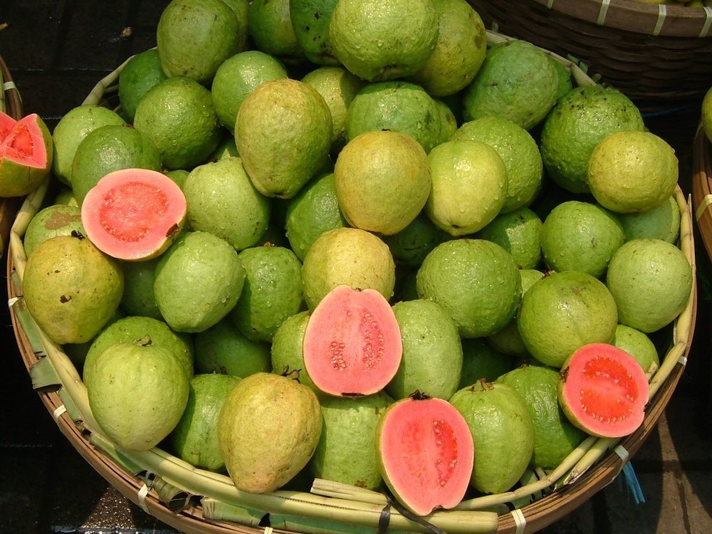 A Grade india Fresh Orange Fruit, Packaging Size: 10 Kg, Packaging Type: Carton