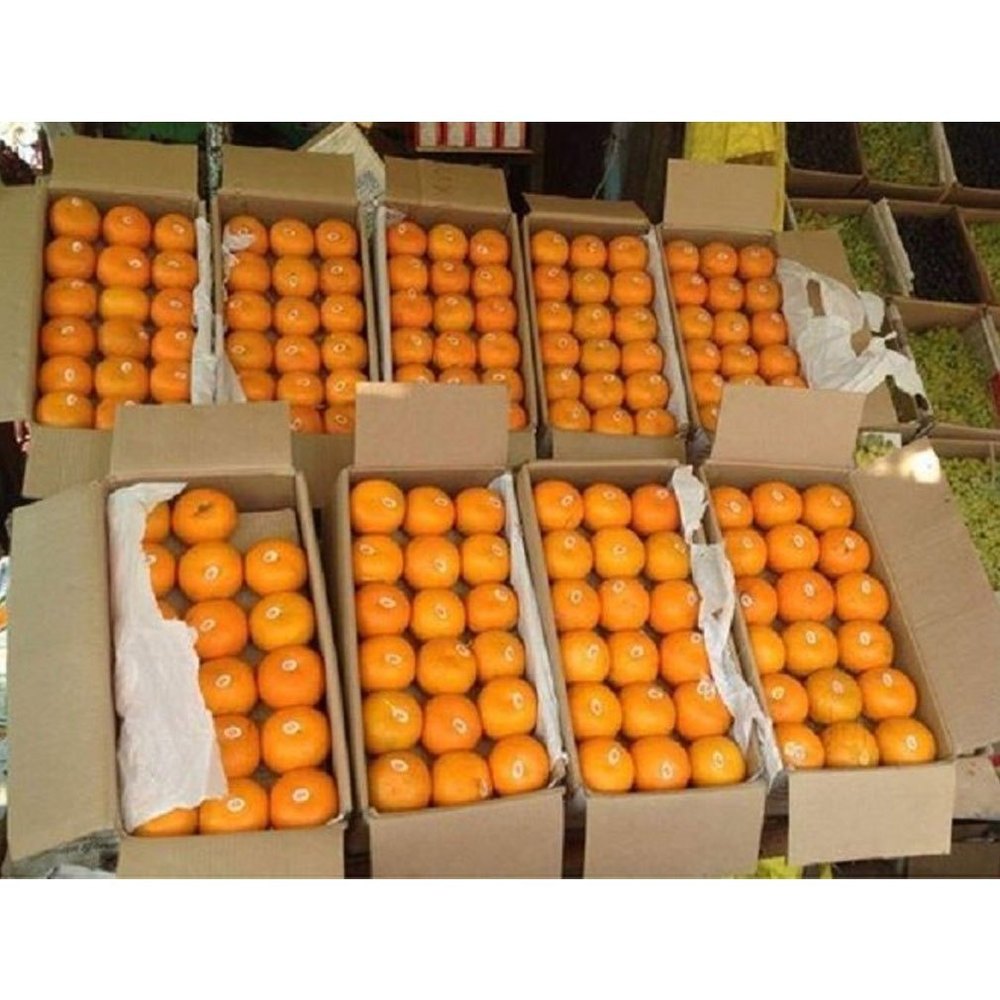 Organic Fresh Orange, Packaging Size: 15kg, Packaging Type: Carton