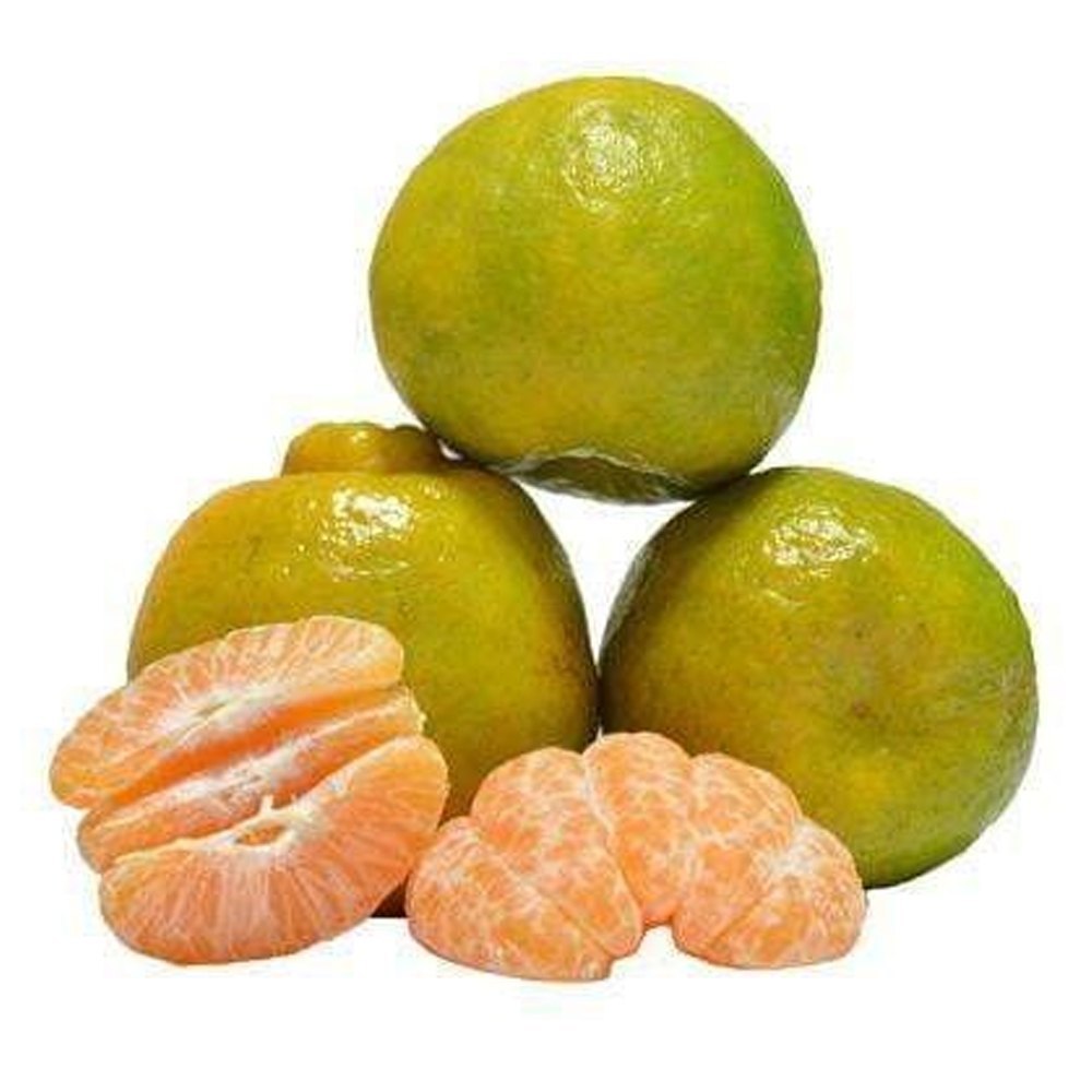 A Grade Pan India Mini Orange Fruit