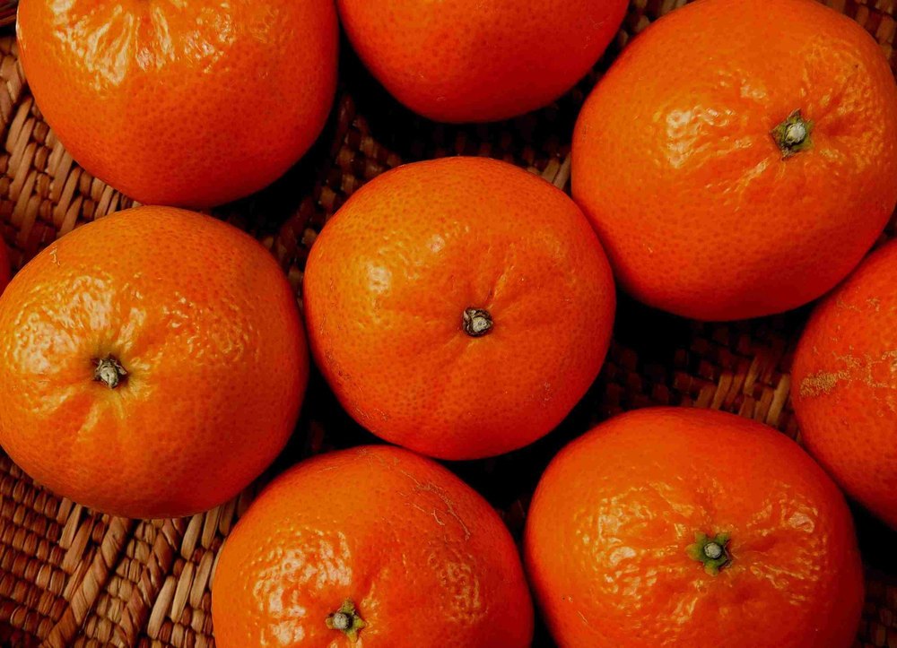 A Grade Fresh Orange Fruit