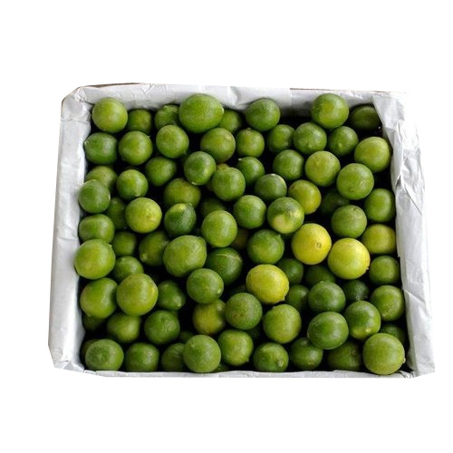 A Grade tamilnadu Fresh Lemon, Packaging Type: Carton, Packaging Size: 10 Kg