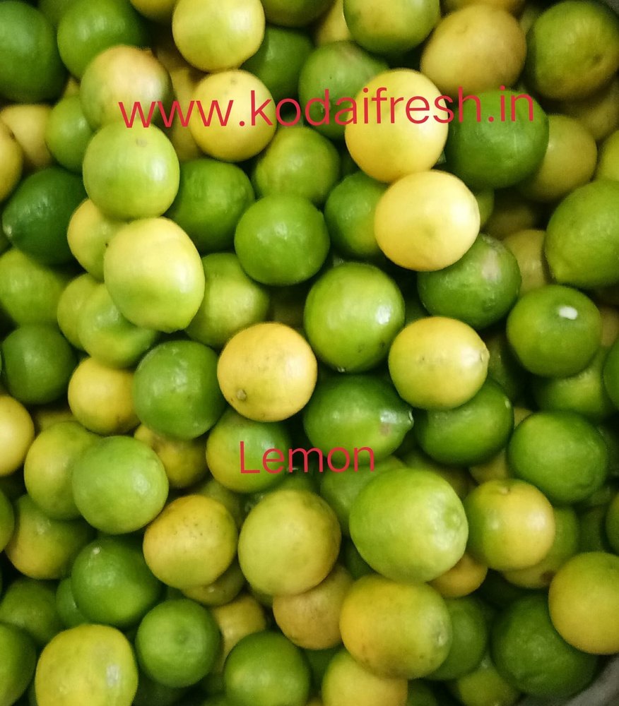 A Grade Tamilnadu Kodaikanal Fresh Lemon, Packaging Size: 55kg, Packaging Type: Gunny Bag