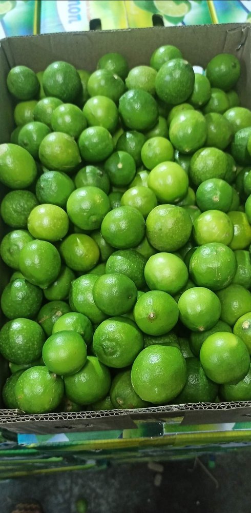 A Grade Maharashtra Green Lemon, Packaging Size: 7 kg, Packaging Type: Carton