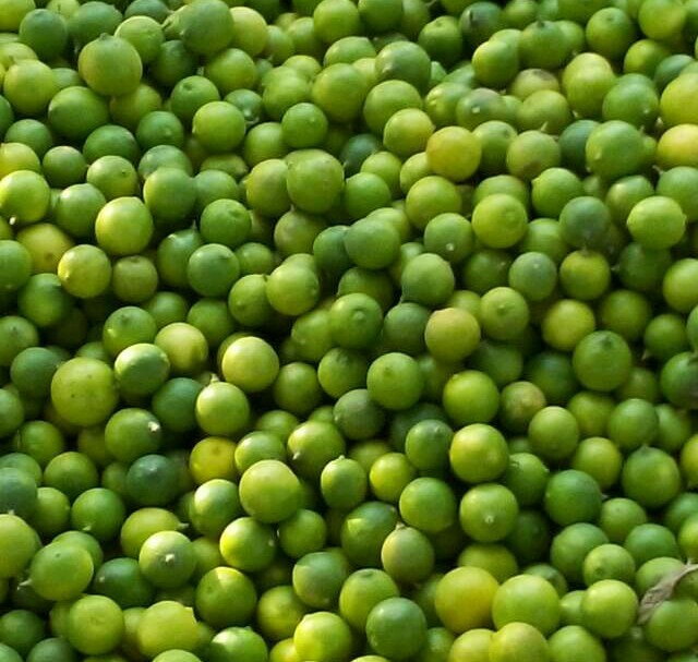 Fresh Lemon