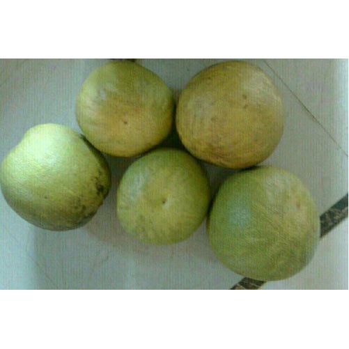 Fresh Pink Pomelo Fruit, Packaging Type Available: Carton