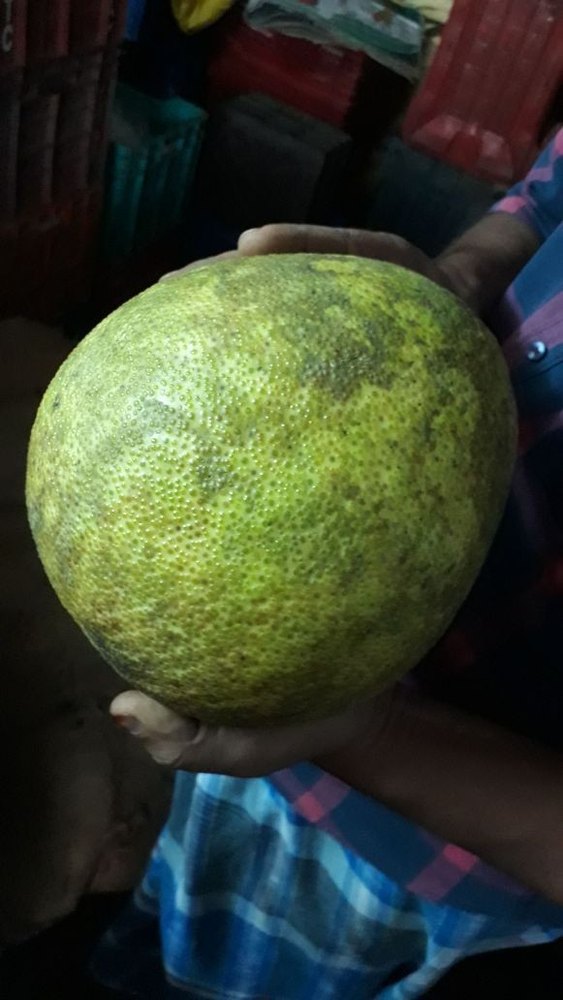 Pomelo Fruit