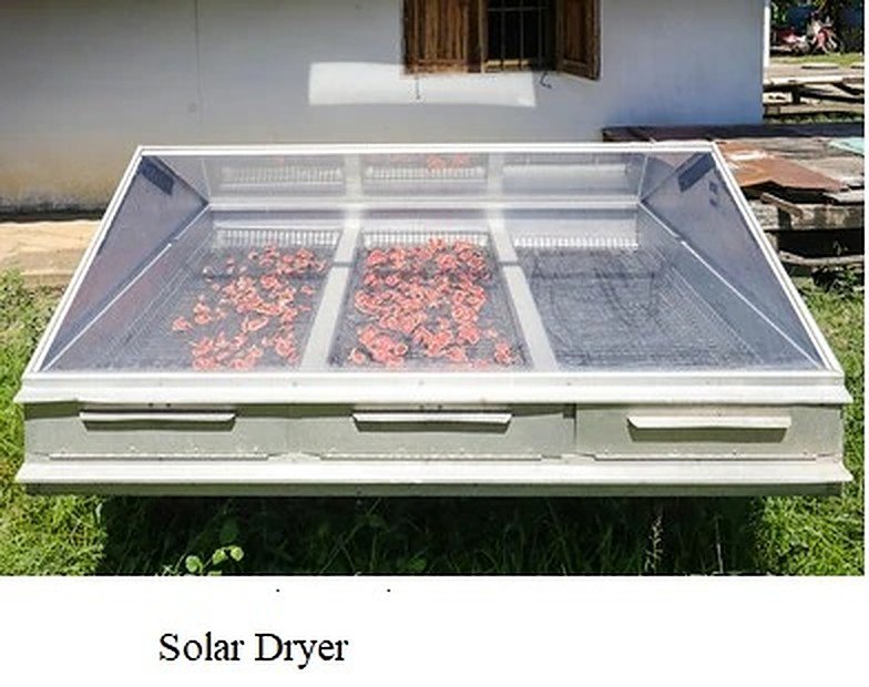 Solar Dryer, 25-50kg