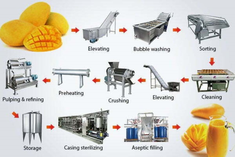 Fruit Processing Machinery, For Industrial, Capacity: 100 kg/hr