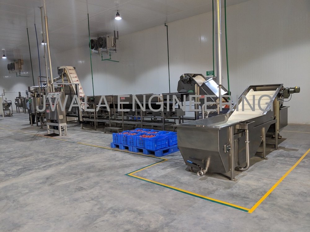 Fully Automatic SS 304 Mango Processing Unit