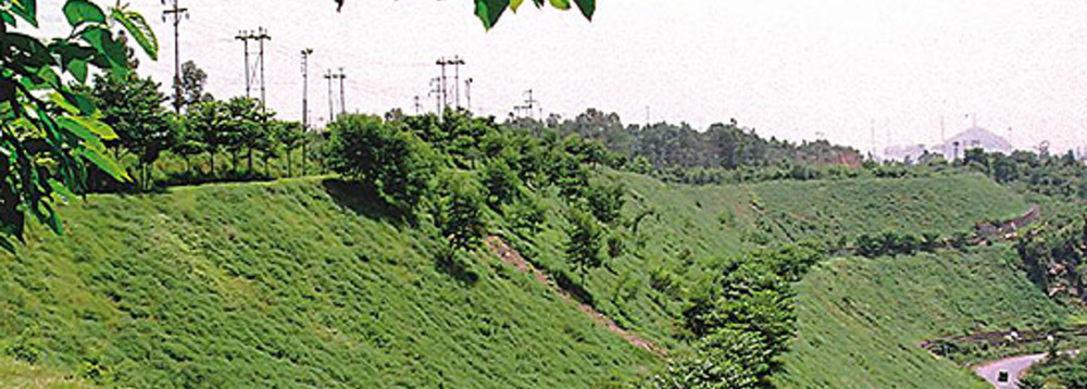 Post Mining Service