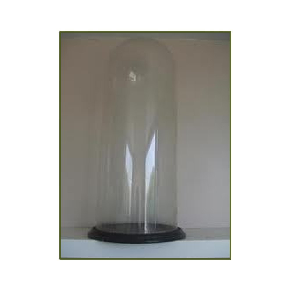 Wooden Stylish Glass Dome With Base, For Cake Stand, 1/2 kg Cake