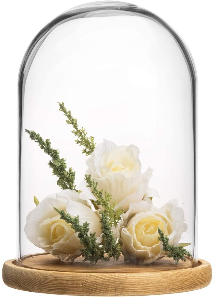 clear Decorative Glass Dome, 6 X 9 Inches