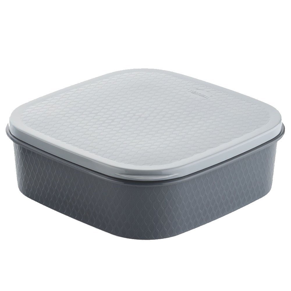 Plastic Dry Fruit Box, Box Capacity (In gms): 250 gms