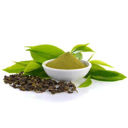 Green Tea Extract, 5 Kg