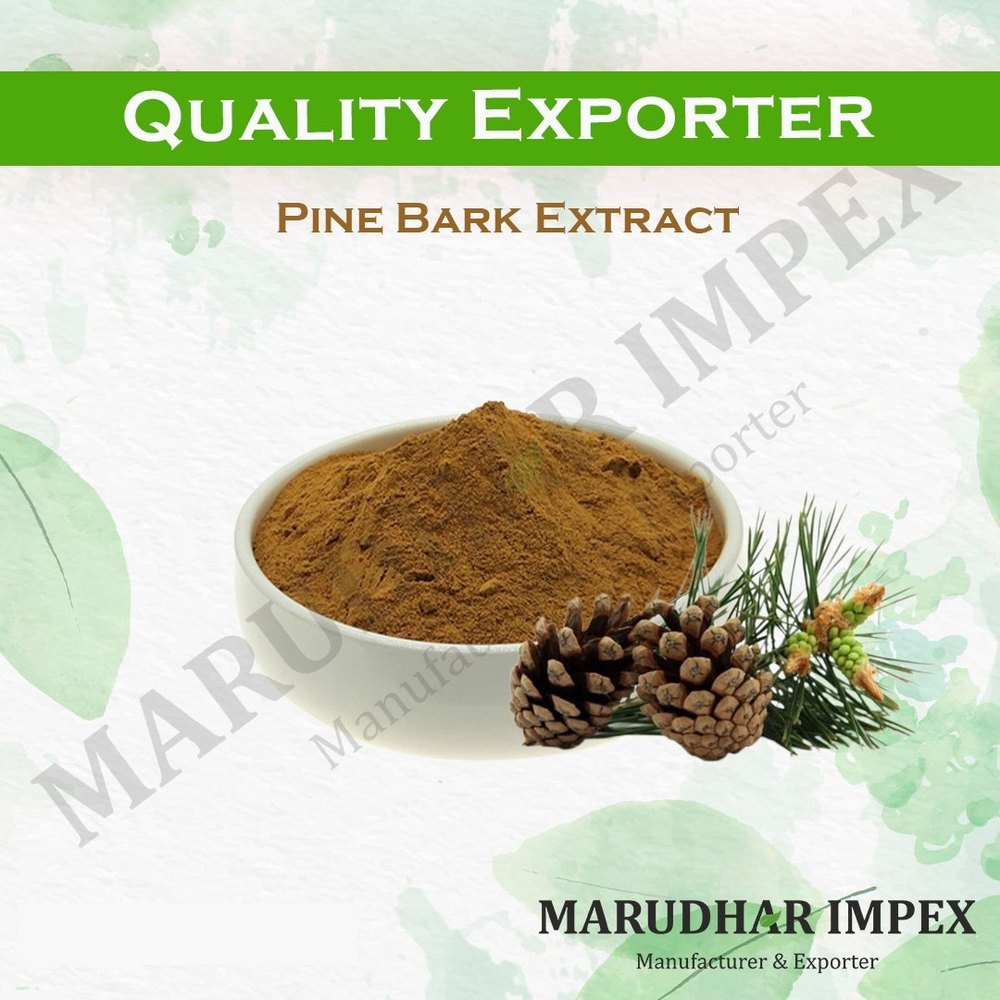 Powder Pine Bark Extract / Pinus Maritima