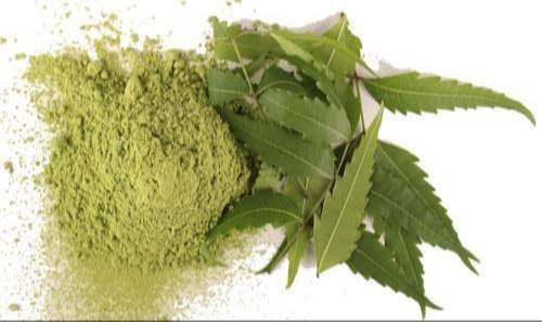 Azadirachta Indica (Neem Leaf) Extracts