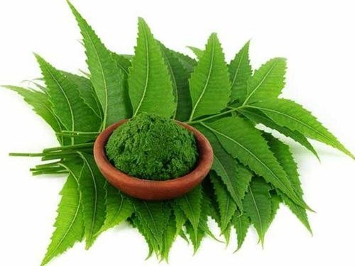 Neem Leaf Extract (2-5%), Packaging Size: 25 Kg Hdpe Drum