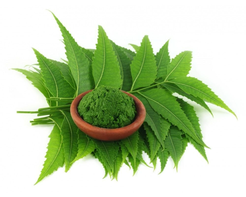 Neem Leaf Extract, Packaging Type: Drum, Packaging Size: 25 Kg