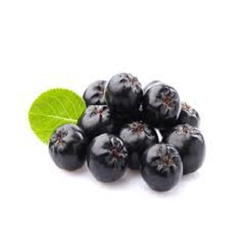 Aronia Extract, Packaging Size: 1kg