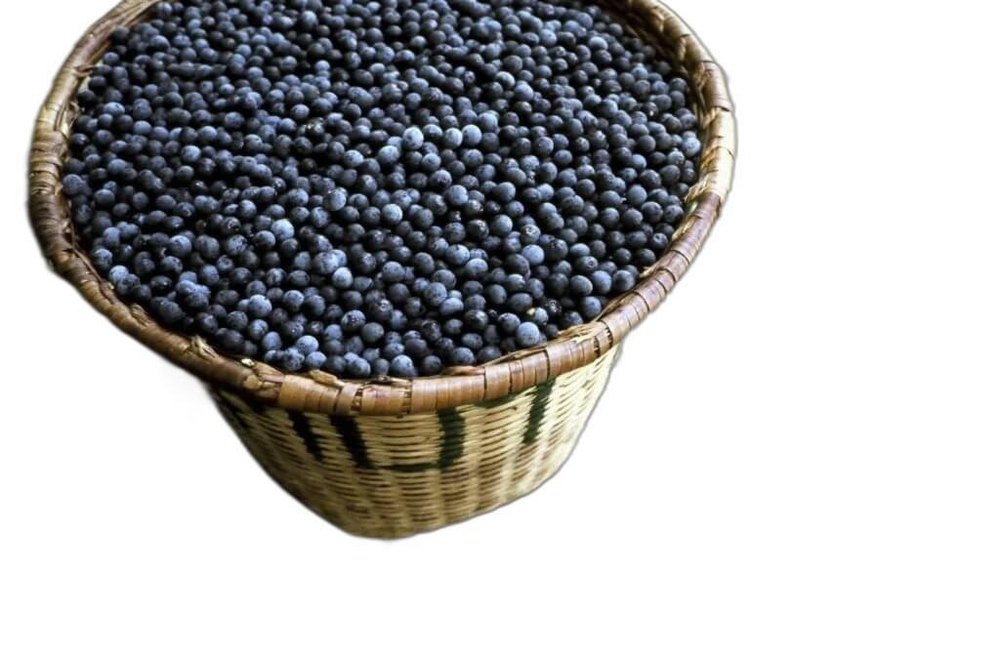 Acai Berry Extract Vitamin C, Packaging Type: Packet, Packaging Size: 1 kg