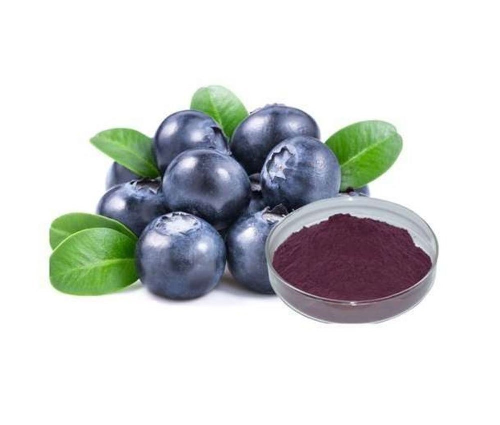 Reddish Acia Berry Extracts, Form: Powder, Packaging Size: 1-25kg