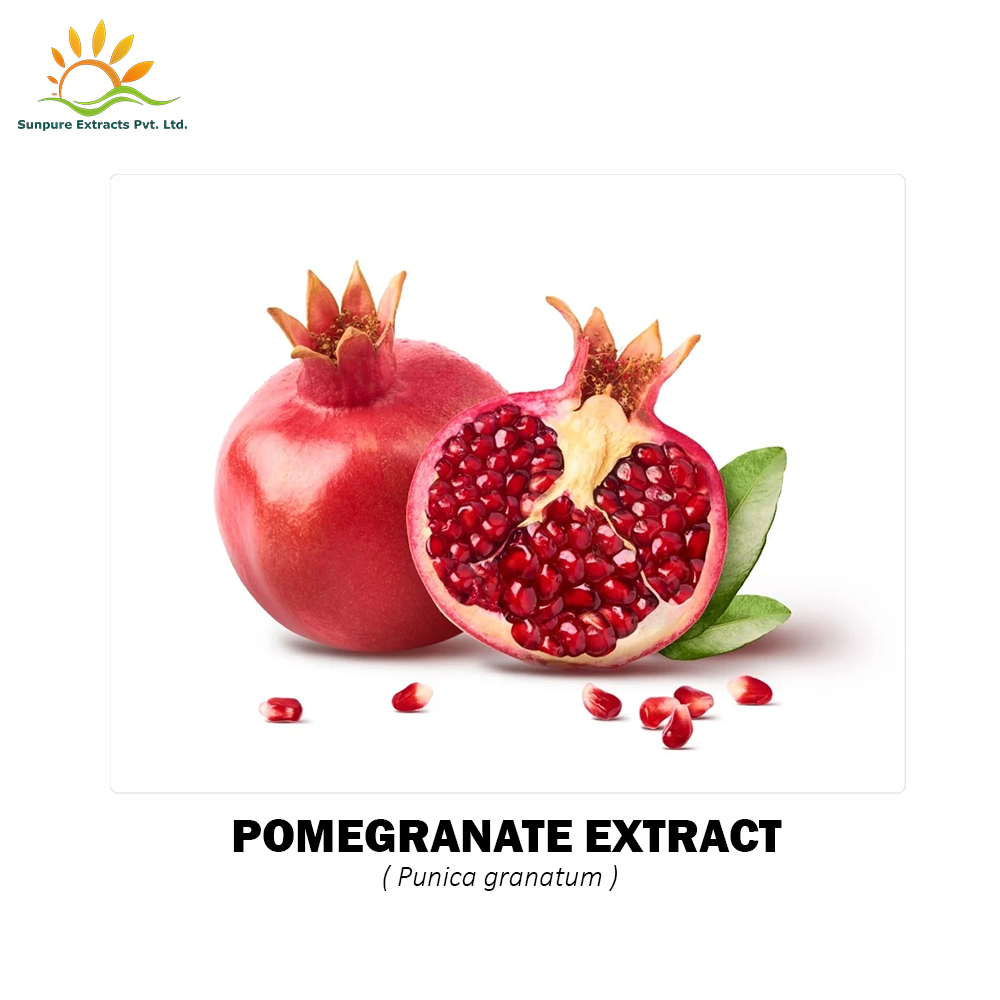 Gray to Brownish Gray Powder Pomegranate Extract, Packaging Size: 25 Kg