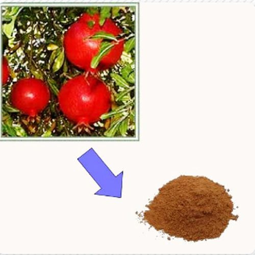 Dadima Extract ( Punica granatum ), For Blood Purification