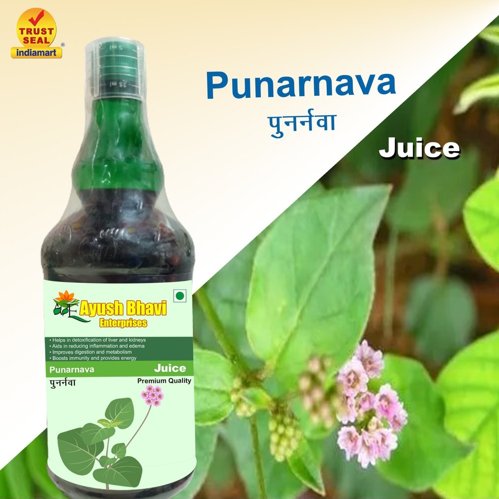 ABE Punarnava Ras, Packaging Type: Bottle