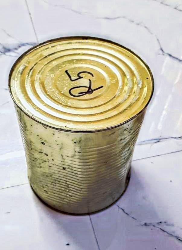 GAYATRI Anguri Rasmalai, Size Available: 4KG, Packaging Type: Tin Container