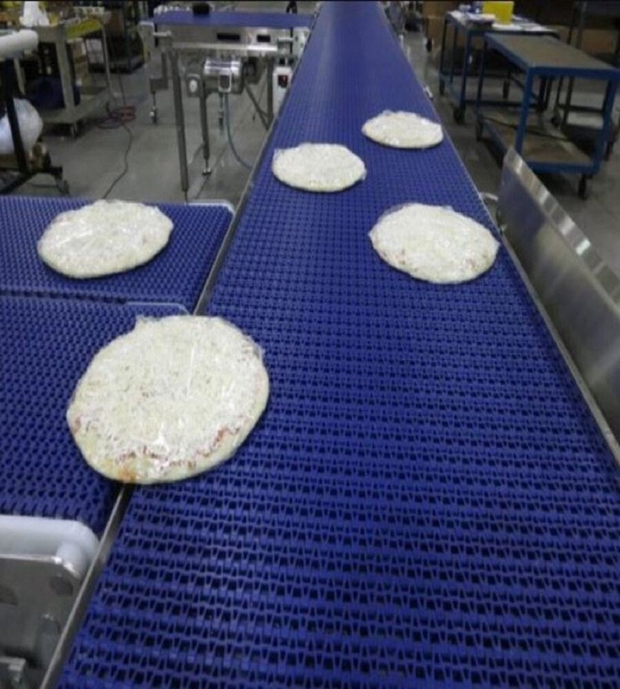 Food Handling Conveyors, 240 V