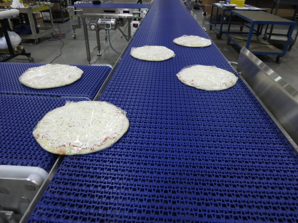 Anton Food Handling Conveyor System
