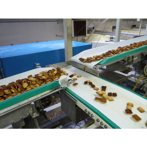 Modern Flexible Conveyors Food Handling Conveyor System