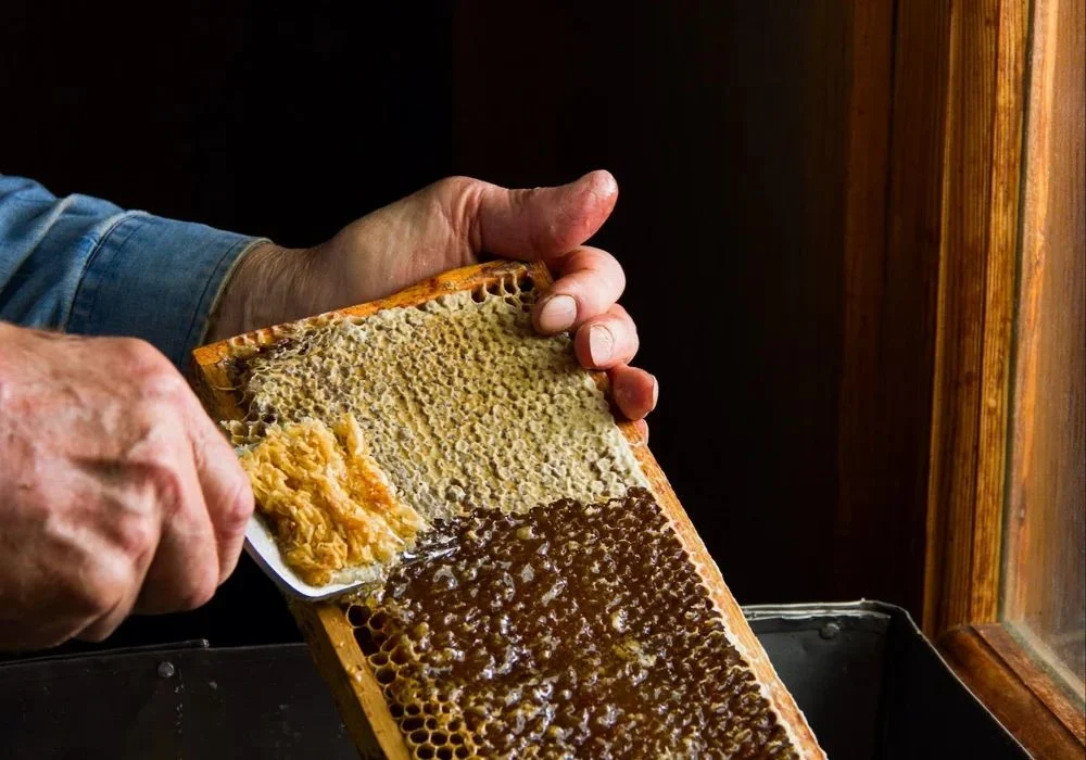 Honey Extract ws, Packaging Type: Bottle
