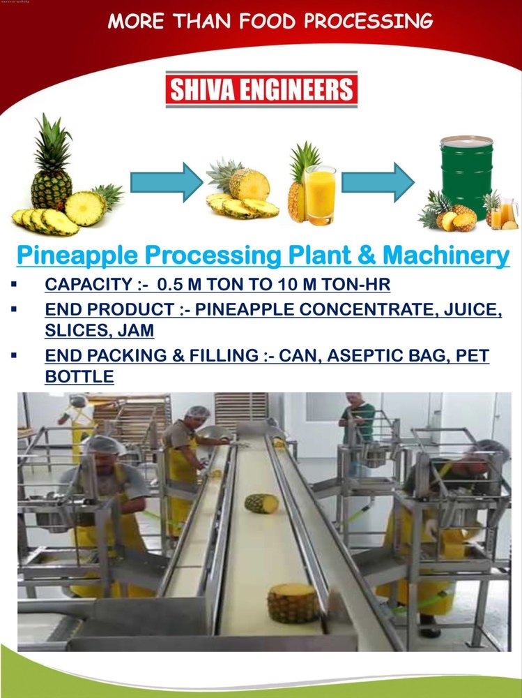 Natural Pineapple Slice Canning Machine