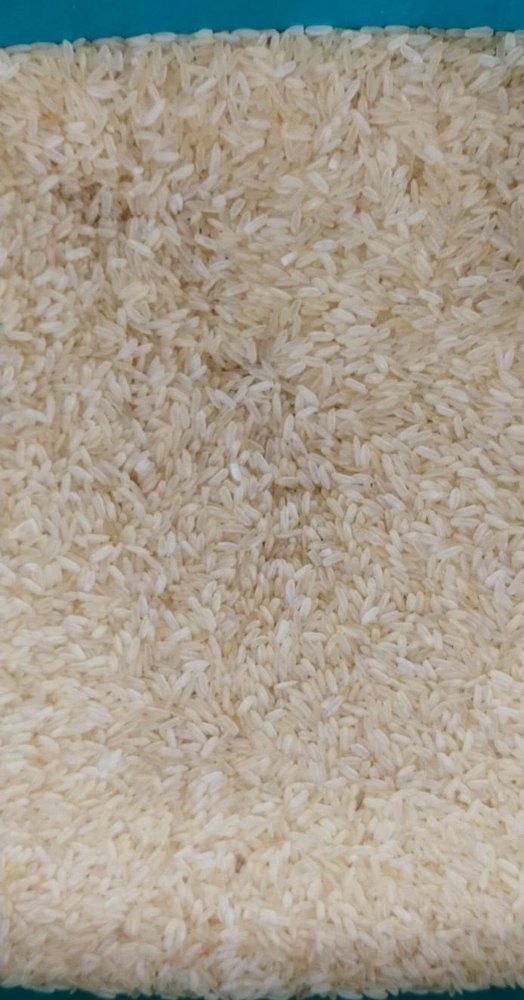 IR64 Parboiled Rice 5% Broken, Packaging Size: 50 Kg, Packaging Type: PP Bag