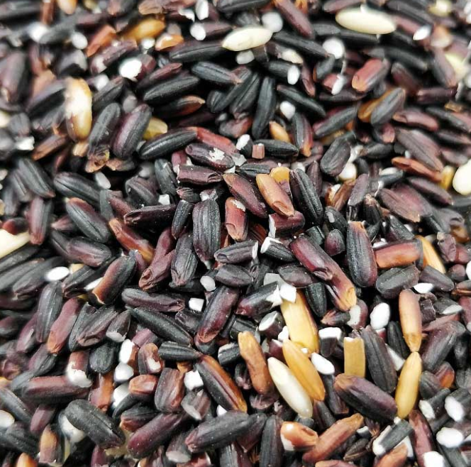 Manipur Black Rice