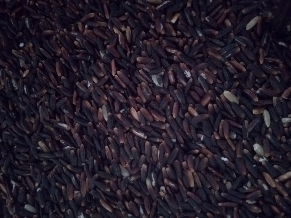Black Rice