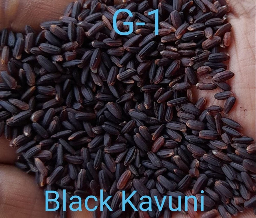 Organic Karuppu Kavuni Black Rice, Packaging Type: Loose, Gluten Free