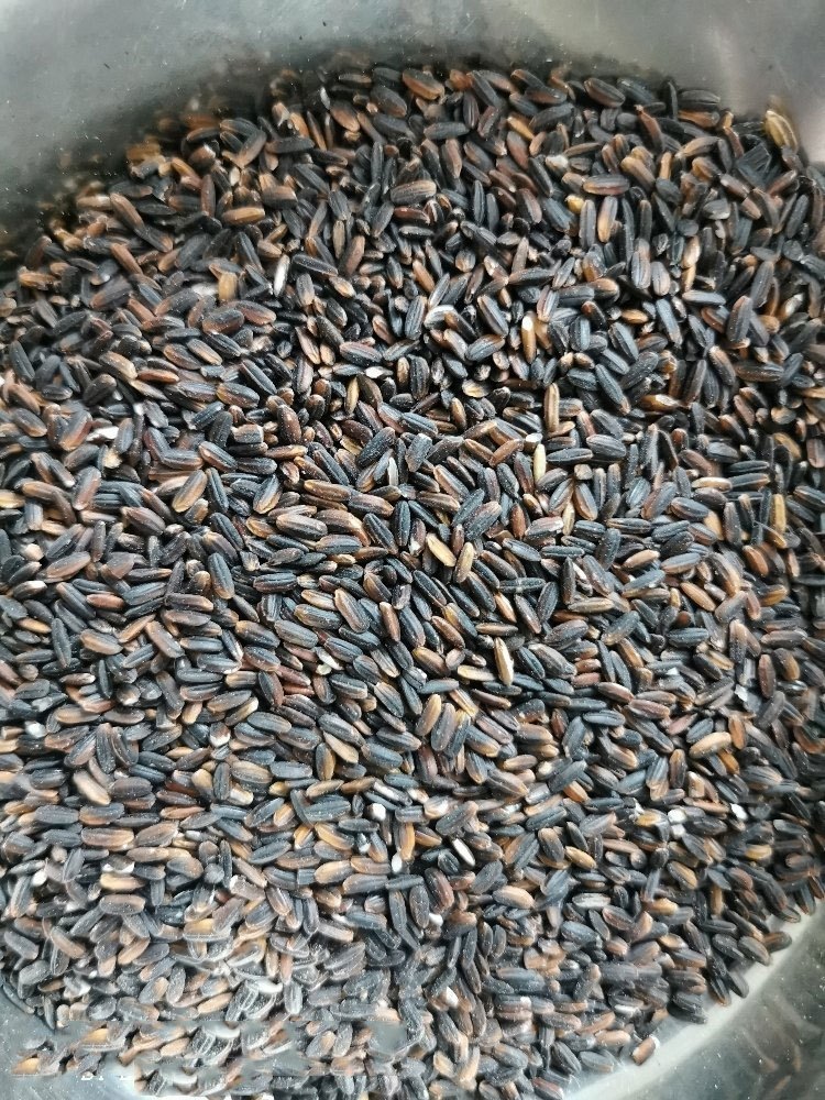 Organic Black Rice, Gunny Bag