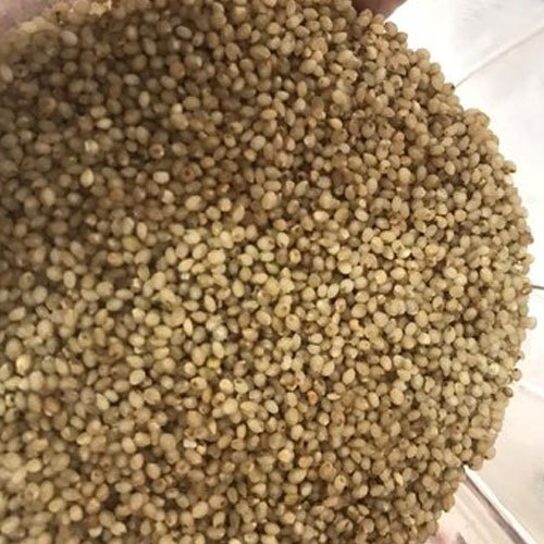Samai Rice