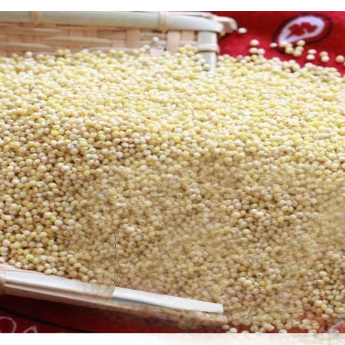 Little Millet Samai