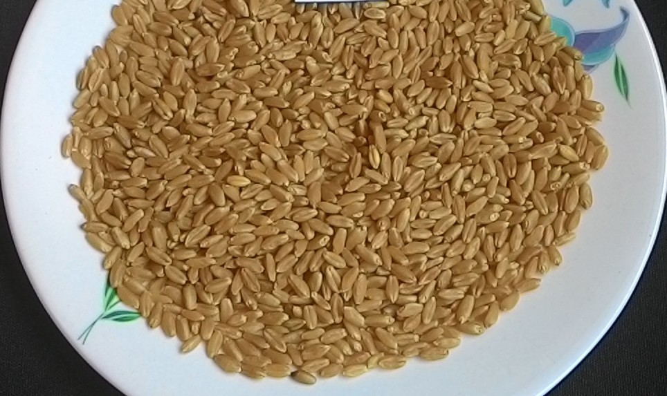 Patanjali Milling Wheat