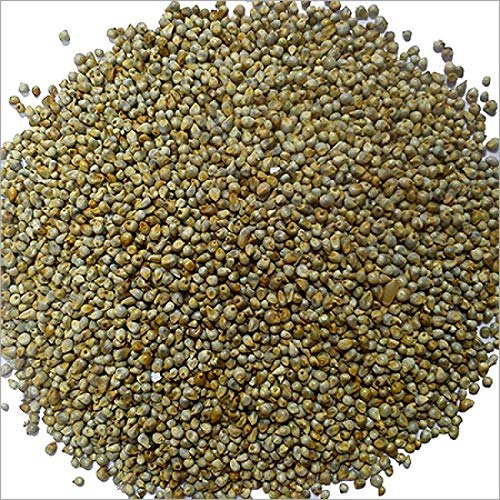 Organic Millet Seed, Packaging Type: PP Bag, Packaging Size: 50kg