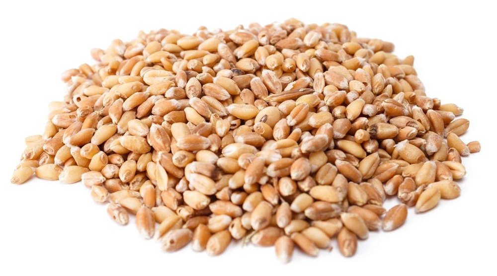 Golden Milling Wheat