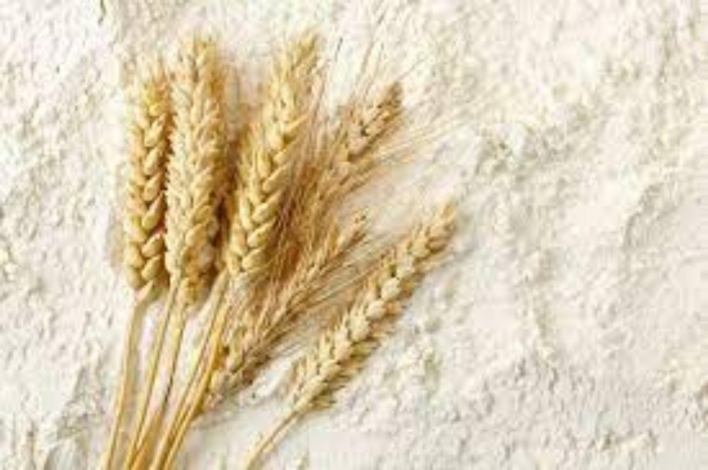Wheat Fiber
