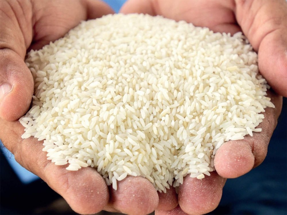 Loose Rice Wada Kolam - Extra Polished, Packaging Type: PP Bag, Packaging Size: 50